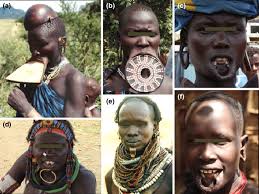 lip plates and plugs in africa a