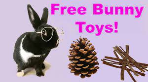 diy free rabbit chew toys you
