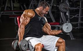 arm size with this biceps triceps workout