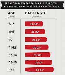 A Guide How To Choose A Youth Baseball Bat Based On