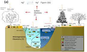 atmospheric chemistry of mercury