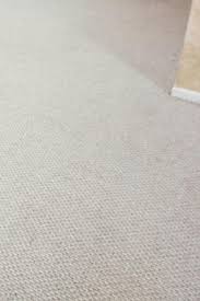 professional carpet cleaning northern
