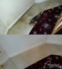 carpet cleaning york pa 717 848 2064