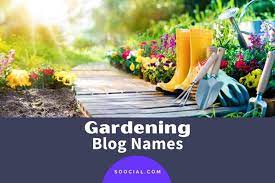 1391 catchy gardening blog name ideas