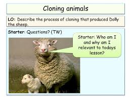 Genetic modification (gm, also called genetic engineering) involves taking a gene from one species and putting it into another species. B3 Ocr Selective Breeding Cloning And Genetic Engineering Teaching Resources