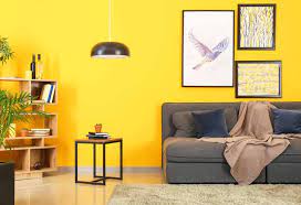 Interior Wall Paint Ideas And Designs
