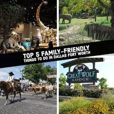 top 5 family friendly things to do in