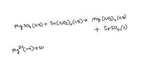 Solved What Is The Net Ionic Equation