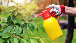 Shop for online and get free shipping to any home store! The 5 Best Chemical Sprayers Of 2021 This Old House