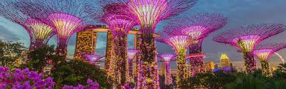 Gardens By The Bay Singapore Attractions Big Bus Tours