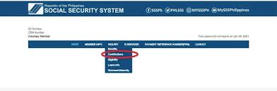 how to check sss contribution