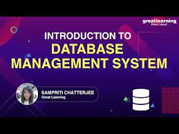 dbms tutorial what is database