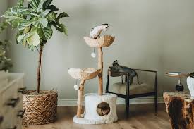 our favorite fancy cat furniture 2023