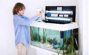 how to cycle your new aquarium