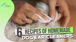 6 recipes of homemade dog ear cleaners