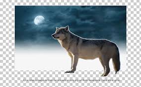 Gray Wolf Coyote Inkscape Gimp Chart Png Clipart Box