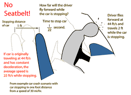 Seatbelt Importance Essay