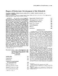 Pdf Stages Of Embryonic Development Of The Zebrafish