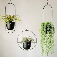 metal wall and ceiling hanging planter