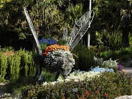 the australian botanic garden mount