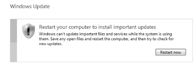 Windows 7 Cannot Update Mangolassi