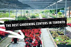 The 12 Best Garden Centers In Toronto