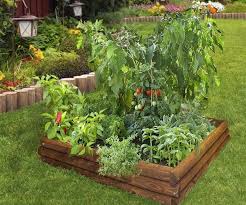 Diy Raised Beds In The Vegetable Garden