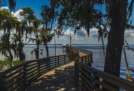 jacksonville where to live and how to