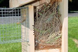 is nesting material necessary in