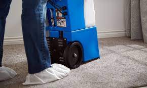 immaculate carpet cleaning services