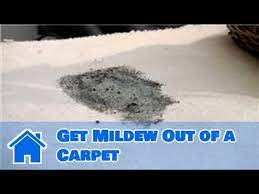 how to remove mildew stains from boat
