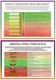 Set Of Two Bristol Stool Scale Urine Hydration Analysis Chart