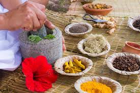 ayurvedic herbs which are best for