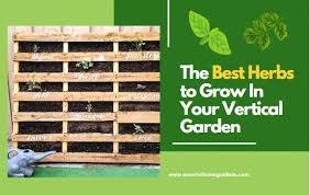 Herbs To Grow In Your Vertical Garden