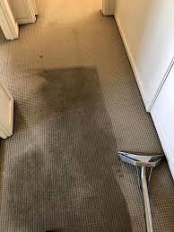carpet cleaning in newcastle nsw