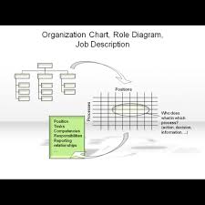 Organization Chart Role Diagramm Job Description