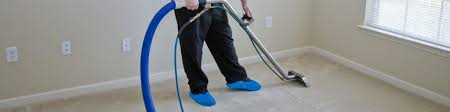 professional carpet cleaning in new