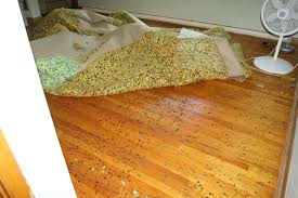 how to clean old hardwood floors after