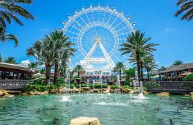 things to do in orlando for meeting