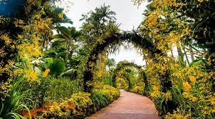 singapore botanic garden places in