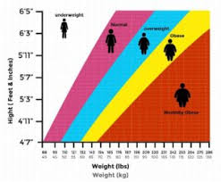 Bmi Chart For Adults In Kg Or Lbs Every Last Template