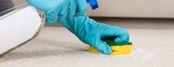 1 best carpet cleaning services near me