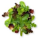 What greens are in spring mix salad?