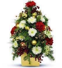 Check spelling or type a new query. Holiday Flower Tree Avas Flowers