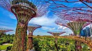 gardens by the bay supertrees