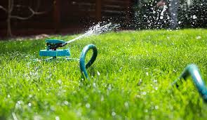 How to care for your overseeded lawn after the seed has been planted it's time to water. 5 Benefits Of Overseeding Your Lawn Gilmour