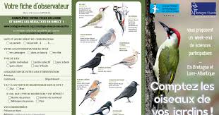 Texte du lien vers la page. Reconnaitre Et Compter Les Oiseaux Des Jardins 2020 Pdf Google Drive