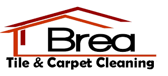 pet stain odor removal brea carpet