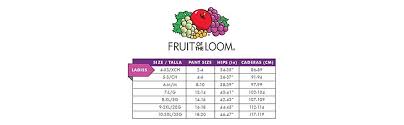 Fruit Of The Loom Womens 6 Pack Premium Ultra Soft Hipster