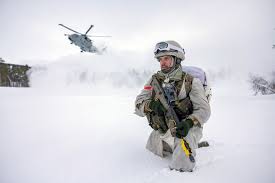 arctic base for royal marines commandos